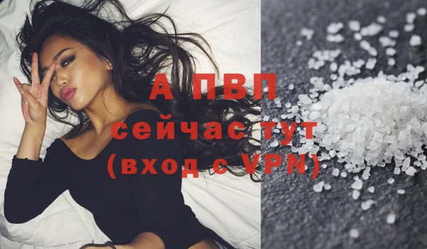 амф Магас
