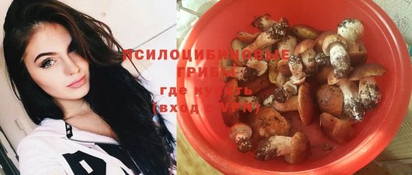 ешки Алексин