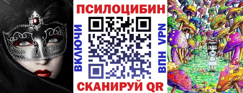 Псилоцибиновые грибы Cubensis  Абинск 